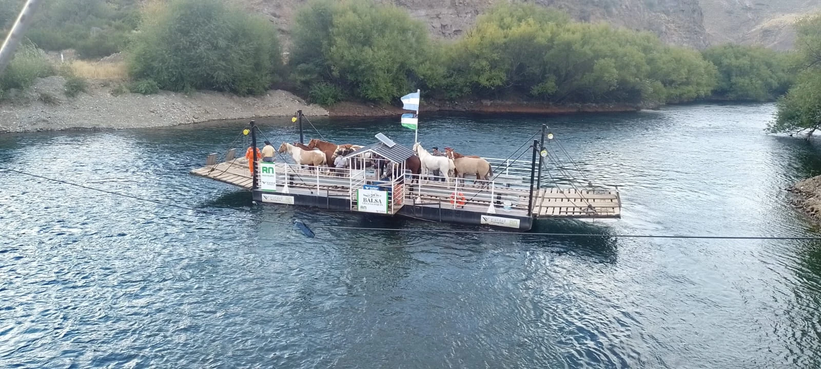 Balsa Maroma cruzando el río con animales